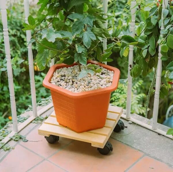 Wooden Caddy for Plants