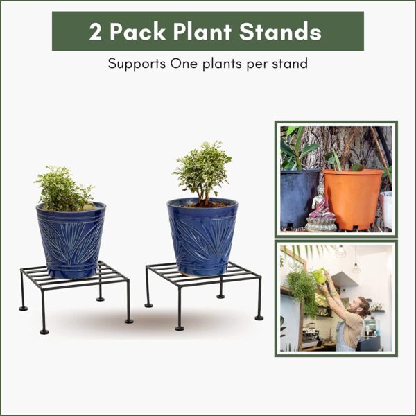 Single Stand for Plants - Image 3